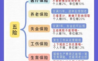 社保是什么意思（就业社保是什么意思）