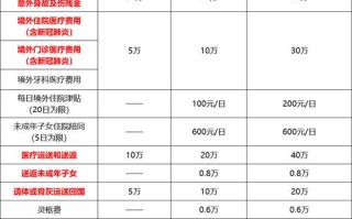 安联保险官方网站旅游险 - 安联 旅游保险 救援快吗?