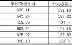 2011社保缴费基数 - 2011年缴费基数