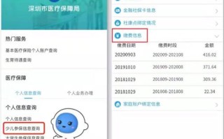 少儿医保查询，少儿医保查询官方网站