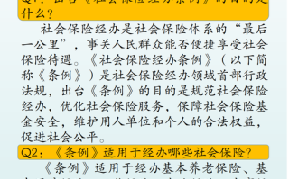 保险法律法规 - 保险法律法规的范畴