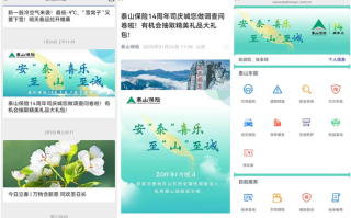 泰山保险公司电话 - 泰山保险车险电话