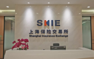 上海保交所，上海保交所业务专用