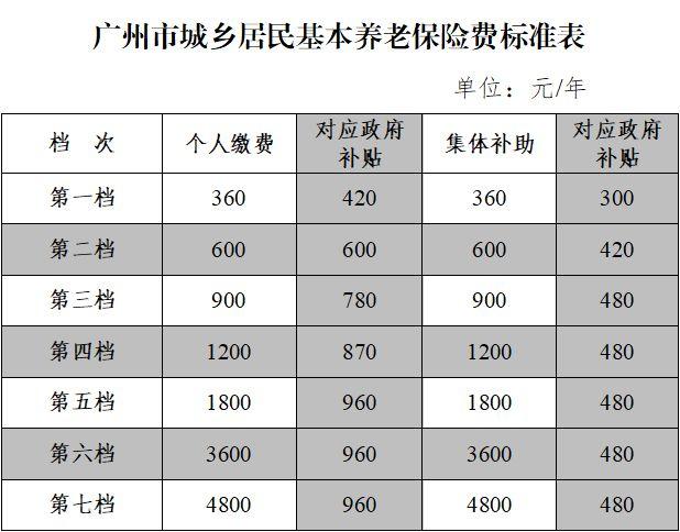 广东省社会养老保险（广东省社会养老保险条例）