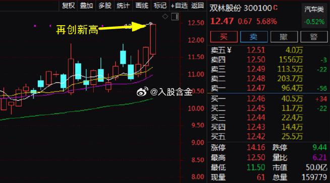 300100股票，300100股票多少钱