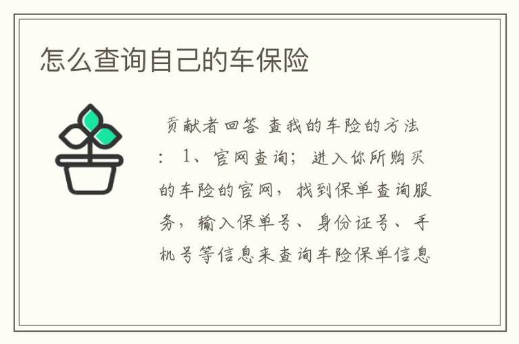 汽车保险网(汽车保险网站) 汽车保险网(汽车保险网站)