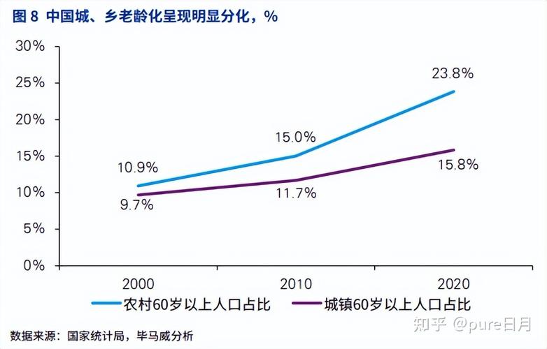 中国养老现状（中国养老现状的感受和认识）