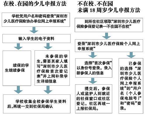 少儿医保网上申报（少儿医保网上申报怎么操作）