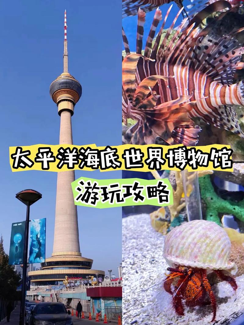 太平洋海底世界官方网站 - 太平洋海底世界博览馆 太平洋海底世界官方网站 - 太平洋海底世界博览馆