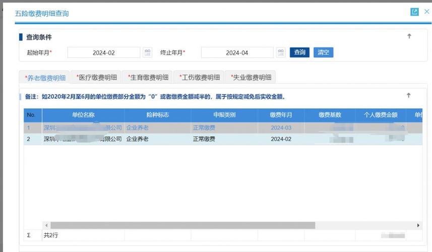 深圳社保查询明细，深圳社保费查询