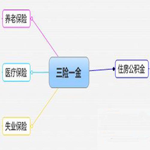 三险一金指什么（三险一金和五险一金有什么区别）