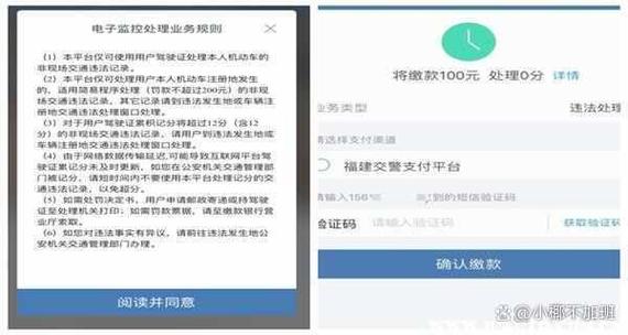 泰州交通违章查询，泰州交通违章查询网