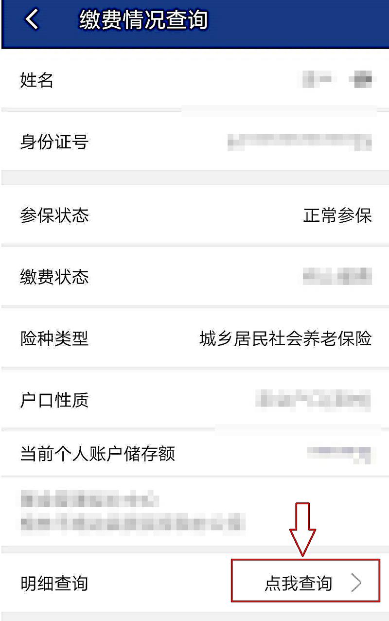 综合保险缴费查询,综合保险查询明细 综合保险缴费查询,综合保险查询明细
