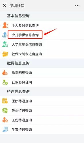 少儿医保查询，少儿医保查询官方网站