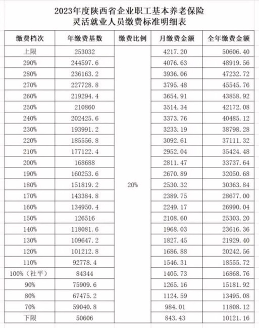 陕西养老保险 - 陕西养老保险app年检认证