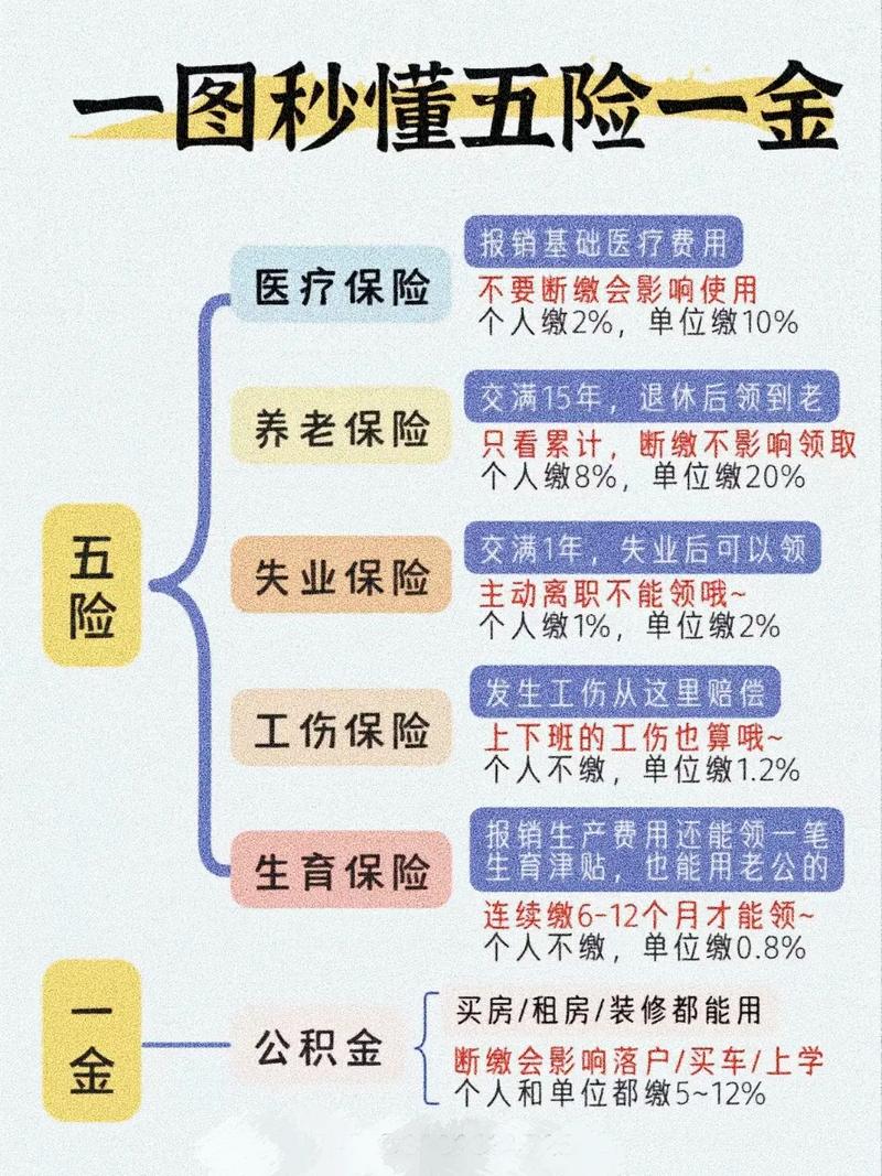 五险一金是什么（单位缴纳的五险一金是什么）