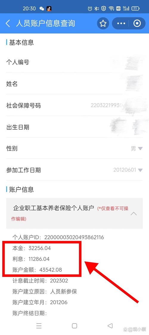 养老保险查询个人账户查询（北京市养老保险查询个人账户查询）