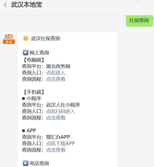 武汉社保网上查询系统，武汉社保查询官方网站查询网站