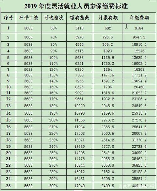 2019社保缴费标准（2019社保缴费标准表四川）