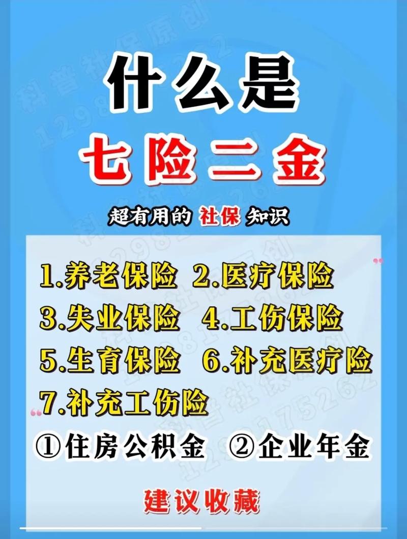 社保是什么意思（就业社保是什么意思）