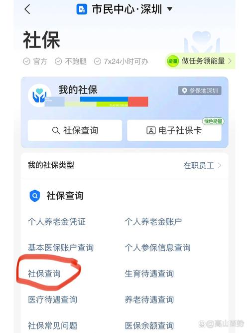 深圳社会保险查询（深圳社会保险查询系统）