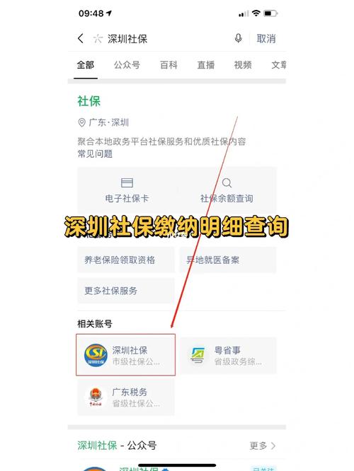 深圳社会保险查询（深圳社会保险查询系统）