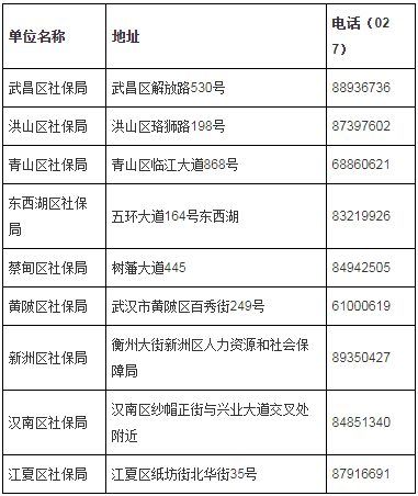 武汉市社保局（武汉市社保局电话号码是多少）