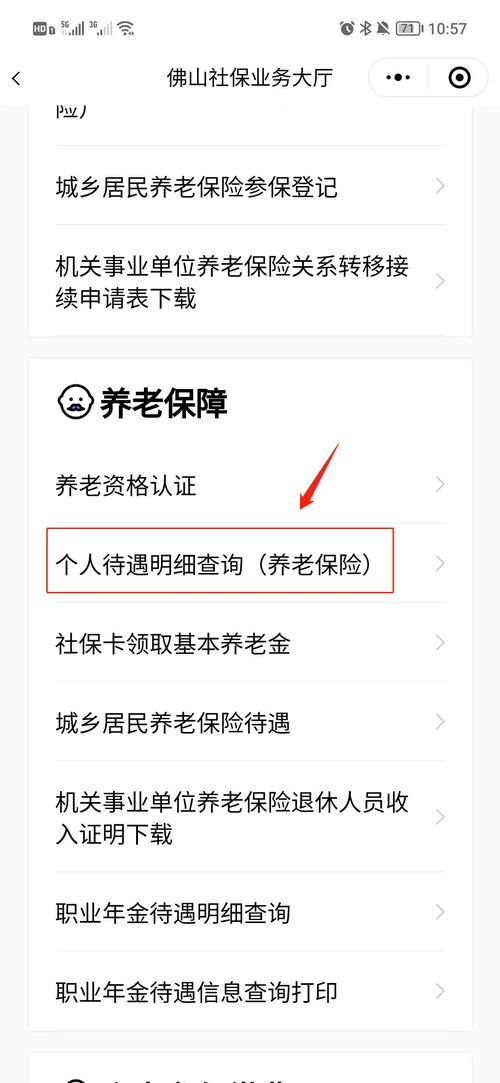 养老金查询（养老金查询个人账户查询12333）
