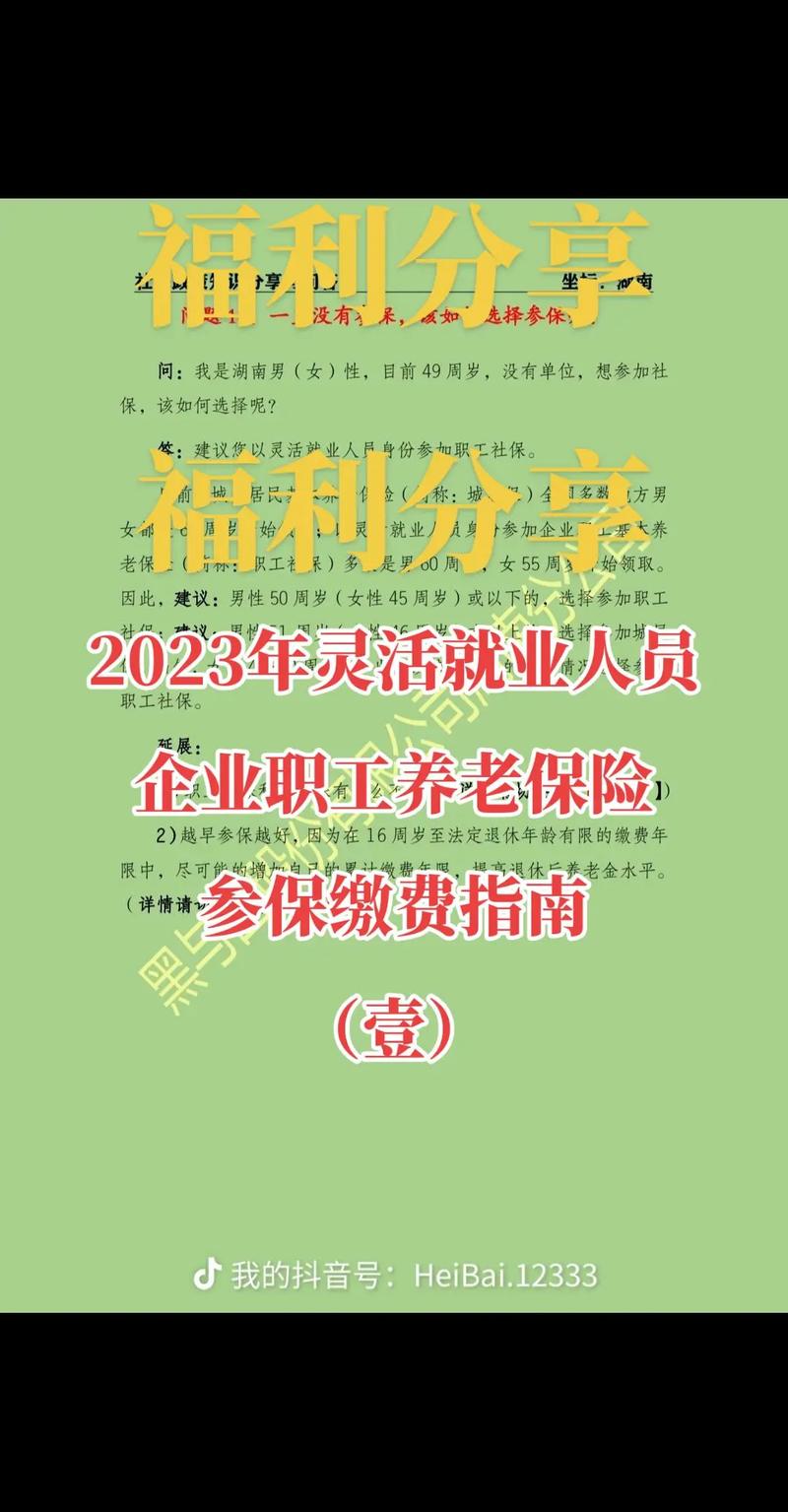 深圳经济特区社会养老保险条例 - 深圳经济特区社会养老保险条例第46条