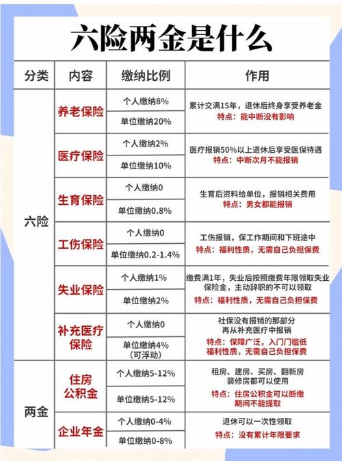 社会养老保险政策 - 社会养老保险政策从哪年开始的