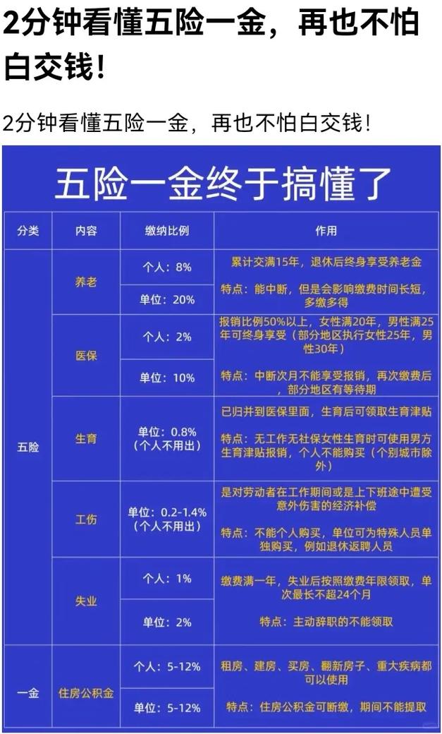 中国养老保险 - 中国养老保险从哪年开始交的