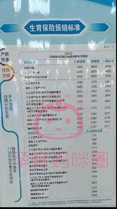 生育保险报销 - 生育保险报销多久到账 生育保险报销 - 生育保险报销多久到账
