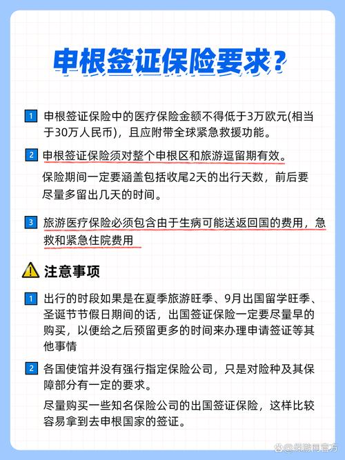 意大利签证保险（意大利签证保险声明）