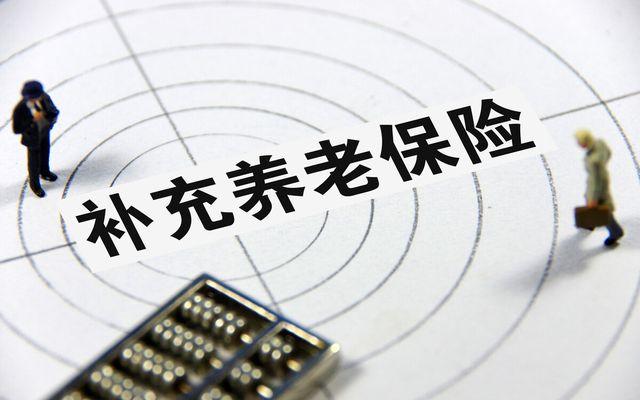 补充养老保险是什么，补充养老保险是什么时候开始实行的