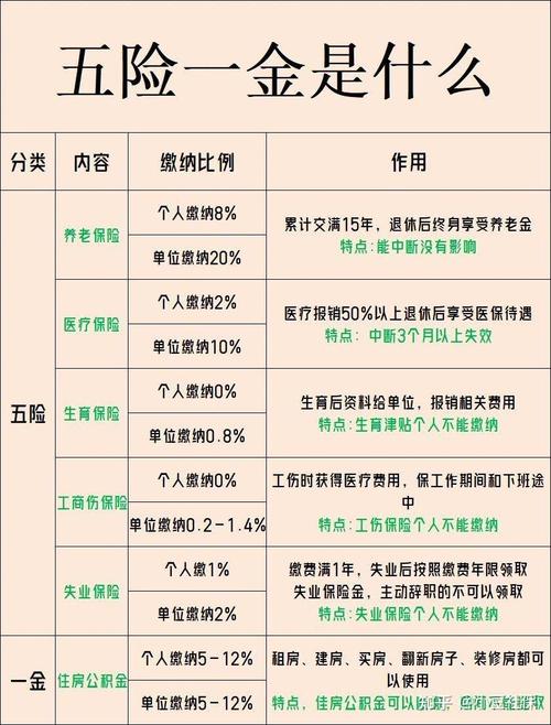三险指什么,三险指什么意思呢 三险指什么,三险指什么意思呢