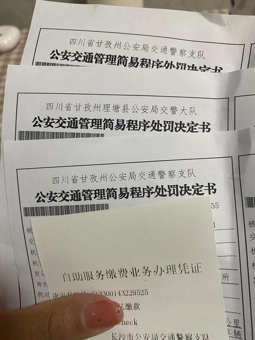 南阳电子警察网 - 南阳电子眼违章多久能查出来 南阳电子警察网 - 南阳电子眼违章多久能查出来