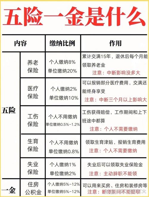 养老金缴纳比例 - 中石油养老金缴纳比例 养老金缴纳比例 - 中石油养老金缴纳比例
