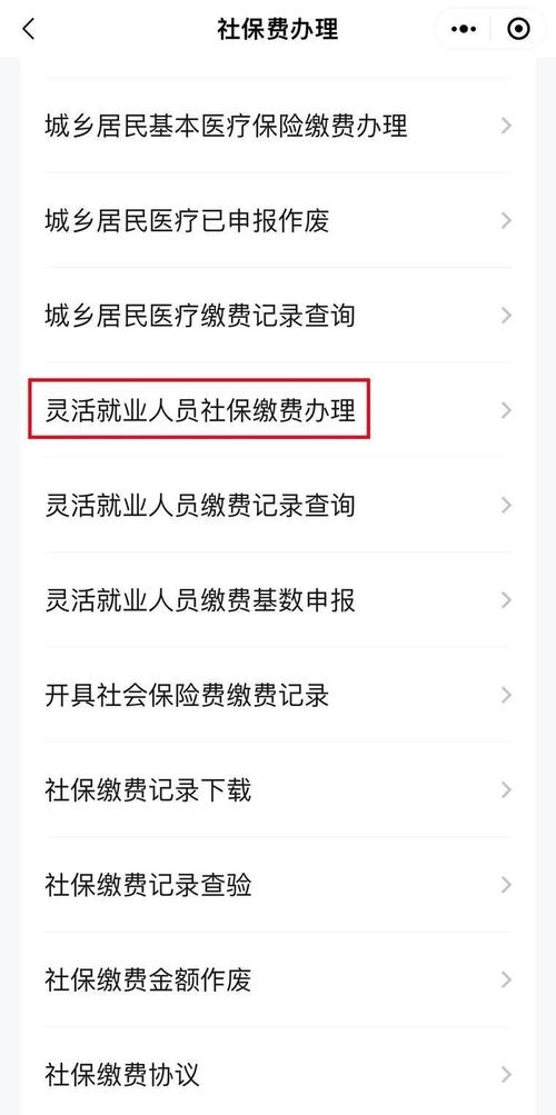 个人怎么缴纳保险 - 个人如何缴纳社保呢 个人怎么缴纳保险 - 个人如何缴纳社保呢