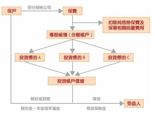 投资连接保险,投资连结保险允许客户 投资连接保险,投资连结保险允许客户