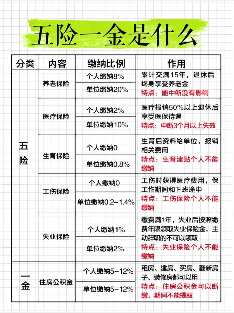 劳动保险法(劳动保险法关于社会保险的缴费规定) 劳动保险法(劳动保险法关于社会保险的缴费规定)