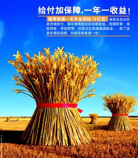 美满一生年金保险(美满一生年金保险分红型12年交费退了后悔怎么办) 美满一生年金保险(美满一生年金保险分红型12年交费退了后悔怎么办)