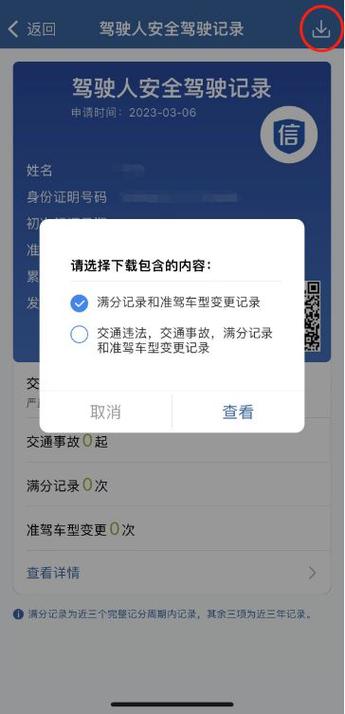 驾驶员违章记录查询 - 驾驶人违章信息查询 驾驶员违章记录查询 - 驾驶人违章信息查询