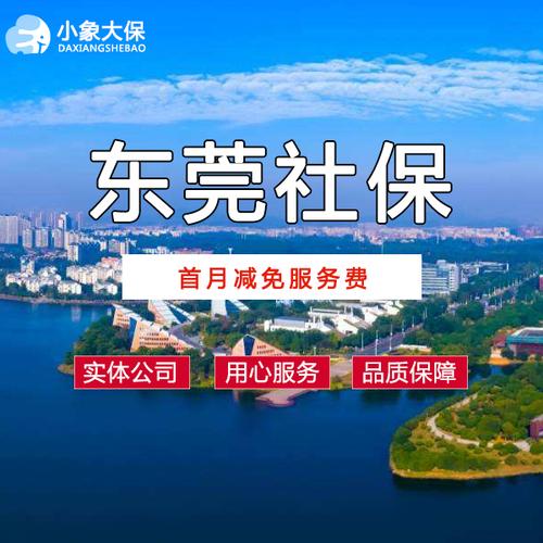 东莞社保网(东莞社保网上怎么转移) 东莞社保网(东莞社保网上怎么转移)