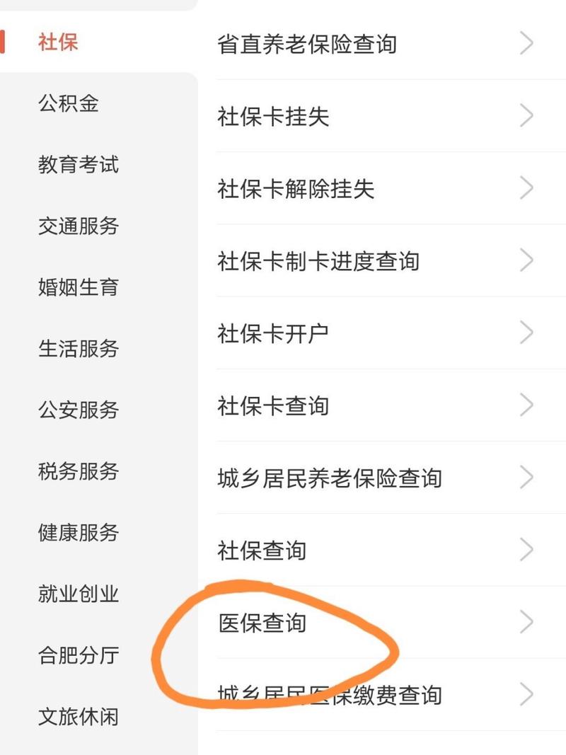 生育险查询(生育险查询个人账户查询) 生育险查询(生育险查询个人账户查询)