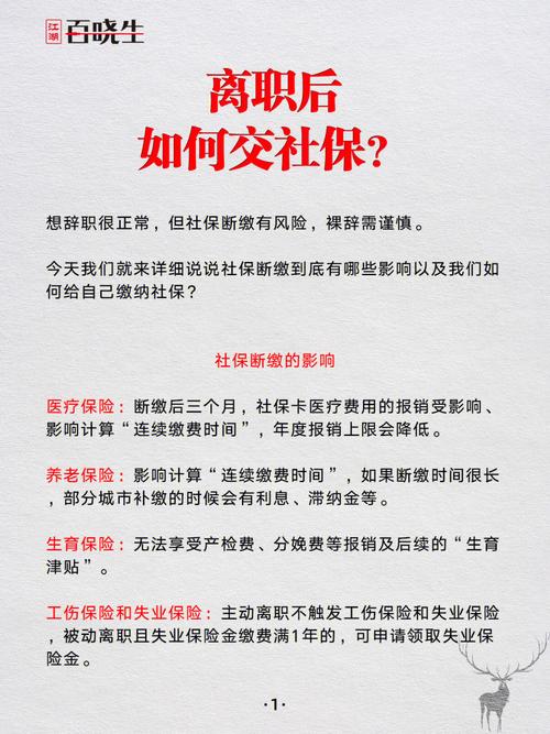 辞职后养老保险怎么办(央企辞职后养老保险怎么办) 辞职后养老保险怎么办(央企辞职后养老保险怎么办)