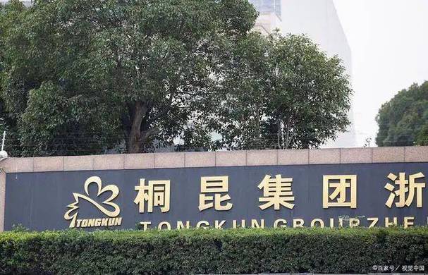 桐昆股份股票,桐昆股份股票分析 桐昆股份股票,桐昆股份股票分析