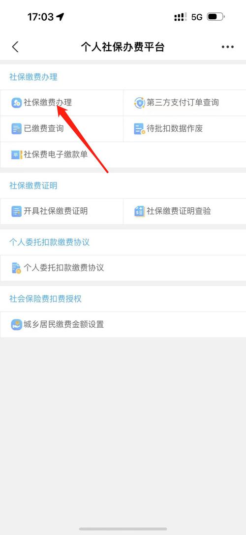 农村社保怎么交费 - 农村社保怎么交费网上缴费流程 农村社保怎么交费 - 农村社保怎么交费网上缴费流程