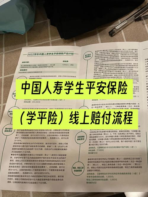 中国人寿意外保险,中国人寿意外保险电话 中国人寿意外保险,中国人寿意外保险电话