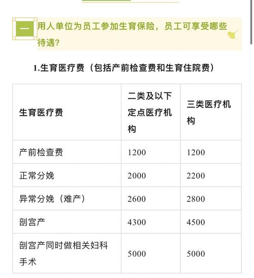 北京生育保险 - 北京生育保险报销范围和标准 北京生育保险 - 北京生育保险报销范围和标准