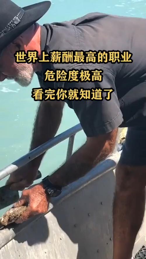 高风险行业 - 反洗钱高风险行业 高风险行业 - 反洗钱高风险行业